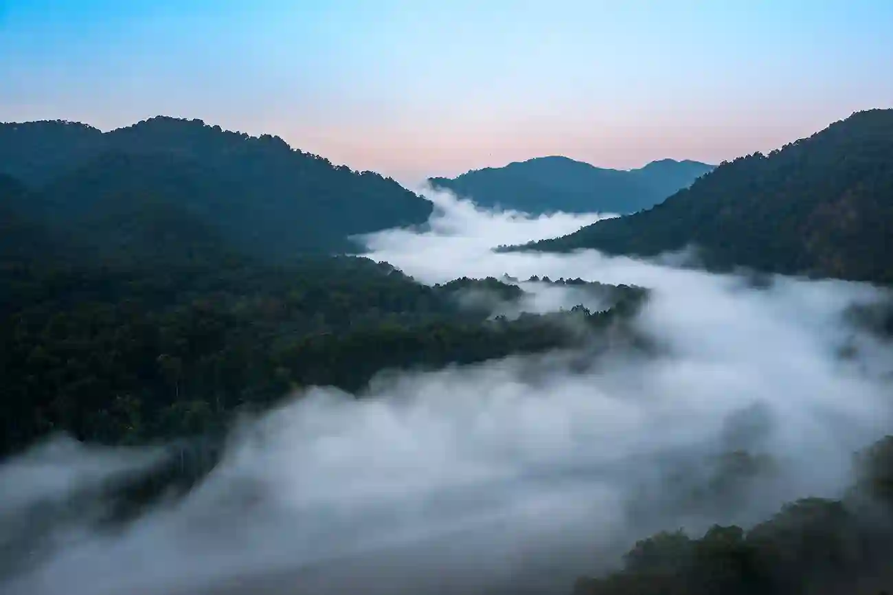 Drone & Aerials · 10